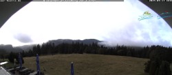 Archived image Webcam "Todtnau cottage" 08:00