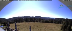 Archived image Webcam "Todtnau cottage" 11:00