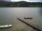Archiv Foto Webcam Großer Alpsee (Immenstadt) 11:00