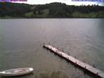 Archiv Foto Webcam Großer Alpsee (Immenstadt) 11:00