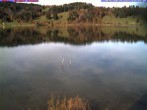 Archiv Foto Webcam Großer Alpsee (Immenstadt) 13:00