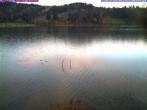 Archiv Foto Webcam Großer Alpsee (Immenstadt) 06:00
