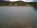 Archiv Foto Webcam Großer Alpsee (Immenstadt) 11:00