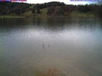 Archiv Foto Webcam Großer Alpsee (Immenstadt) 13:00