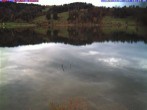 Archiv Foto Webcam Großer Alpsee (Immenstadt) 15:00