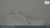 Archived image Webcam Top station Waldmendingerhorn 14:00