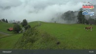 Archiv Foto Webcam Hocheck - Oberaudorf 14:00