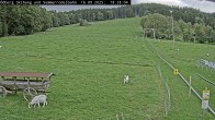 Archiv Foto Webcam Schlepplift Ödberg 17:00
