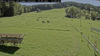 Archiv Foto Webcam Schlepplift Ödberg 11:00
