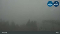 Archiv Foto Webcam Wallbergbahn am Tegernsee (1635m) 12:00