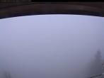 Archiv Foto Webcam Bergstation Laber Bergbahn: Aussichtsplattform 12:00