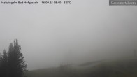 Archiv Foto Webcam Bad Hofgastein: Haitzingalm 08:00