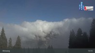 Archiv Foto Webcam Sonnalmbahn- Bergstation 12:00