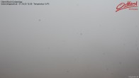 Archived image Webcam Obertilliach - Slopes Golzentipp 11:00