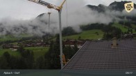 Archiv Foto Webcam Feilmoos im Alpbachtal 08:00