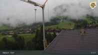 Archiv Foto Webcam Feilmoos im Alpbachtal 10:00