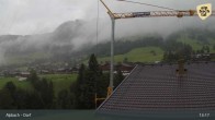 Archiv Foto Webcam Feilmoos im Alpbachtal 12:00