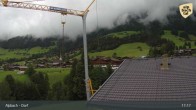 Archiv Foto Webcam Feilmoos im Alpbachtal 16:00