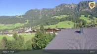 Archived image Webcam Feilmoos at Alpbachtal valley 10:00