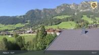 Archived image Webcam Feilmoos at Alpbachtal valley 14:00