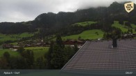 Archiv Foto Webcam Feilmoos im Alpbachtal 08:00
