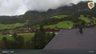 Archiv Foto Webcam Feilmoos im Alpbachtal 10:00
