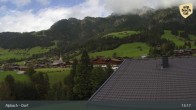 Archiv Foto Webcam Feilmoos im Alpbachtal 12:00