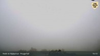 Archiv Foto Webcam Pinzgerhof - Brunnerberg 14:00