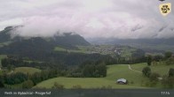 Archiv Foto Webcam Pinzgerhof - Brunnerberg 16:00