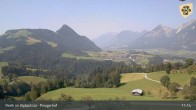 Archiv Foto Webcam Pinzgerhof - Brunnerberg 10:00