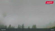Archiv Foto Webcam Nassfeld: Blick ins Skigebiet 02:00