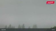 Archiv Foto Webcam Nassfeld: Blick ins Skigebiet 14:00