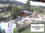 Archived image Webcam The hotel Molzbachhof in Kirchberg am Wechsel 11:00