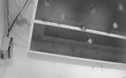 Archiv Foto Webcam Feistritz an der Gail: Fledermaushaus 23:00
