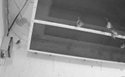 Archived image Webcam Feistritz an der Gail: Bat House 03:00