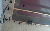 Archived image Webcam Feistritz an der Gail: Bat House 13:00