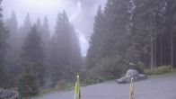 Archived image Webcam Krimml Waterfall - Hanke&#39;s Café 08:00
