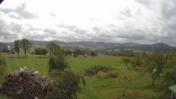 Archiv Foto Webcam Bauer-Albert-Blick - Loipenpark 11:00