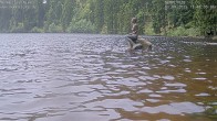 Archived image Webcam Lake Mummelsee 11:00