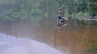 Archived image Webcam Lake Mummelsee 17:00
