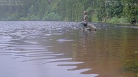 Archiv Foto Webcam Mummelsee: Seeufer 09:00