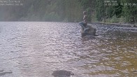 Archiv Foto Webcam Mummelsee: Seeufer 17:00