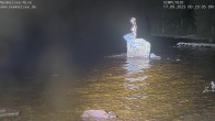 Archiv Foto Webcam Mummelsee: Seeufer 23:00