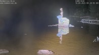 Archived image Webcam Lake Mummelsee 23:00
