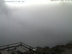 Archiv Foto Webcam Puchberg am Schneeberg Fischerhütte Süd 08:00