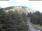 Archiv Foto Webcam Puchberg am Schneeberg - Bergblick Baumgartner 09:00