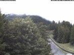 Archiv Foto Webcam Puchberg am Schneeberg - Bergblick Baumgartner 11:00