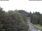 Archiv Foto Webcam Puchberg am Schneeberg - Bergblick Baumgartner 13:00