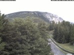 Archiv Foto Webcam Puchberg am Schneeberg - Bergblick Baumgartner 07:00