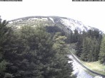 Archiv Foto Webcam Puchberg am Schneeberg - Bergblick Baumgartner 11:00
